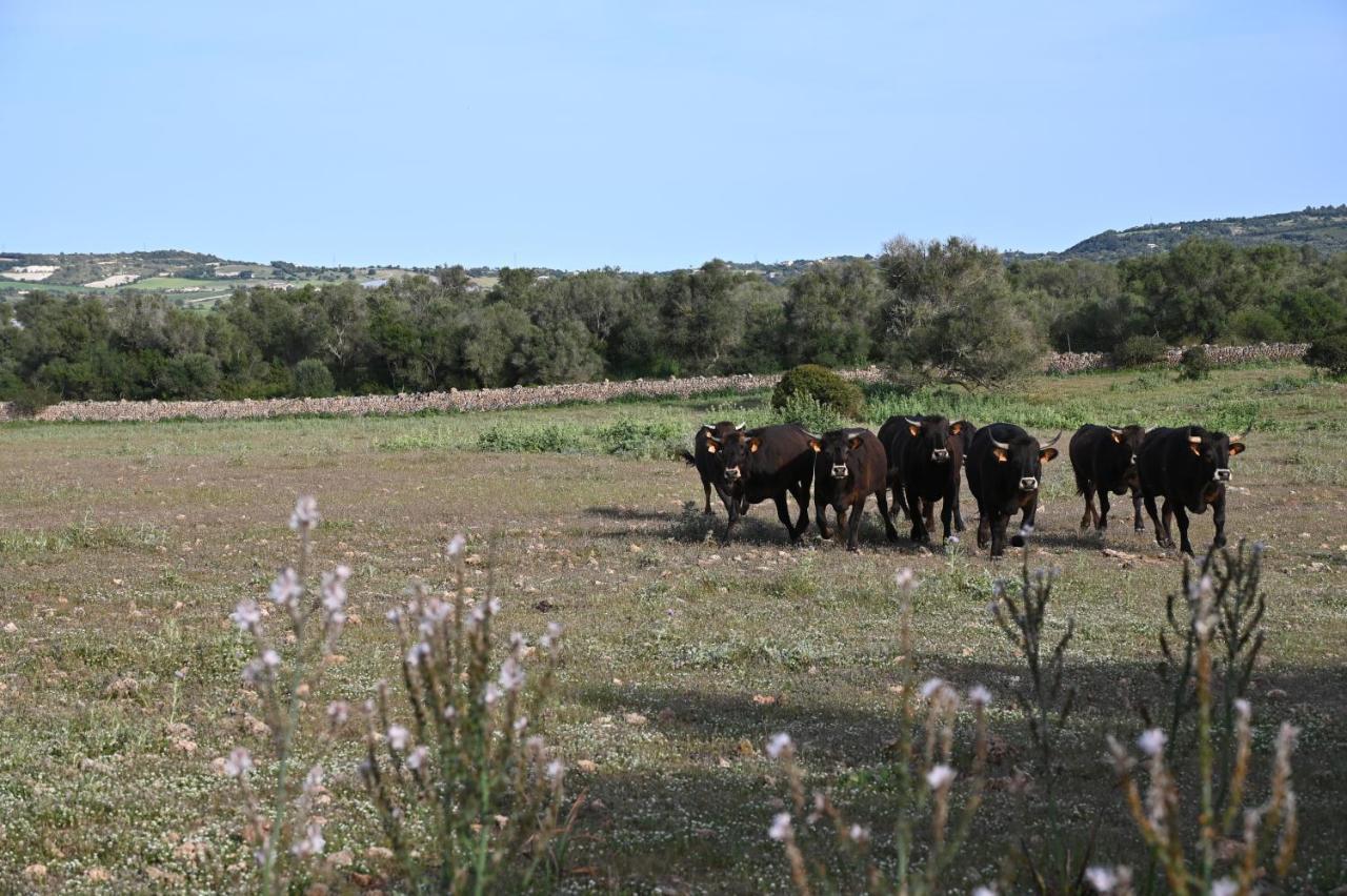 Finca Sa Cova Vella Манакор Экстерьер фото