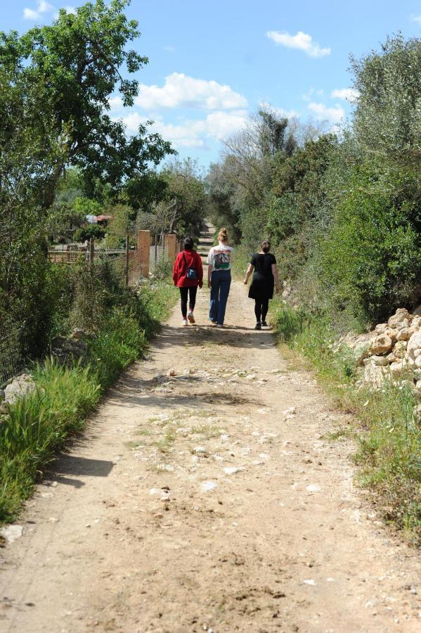 Finca Sa Cova Vella Манакор Экстерьер фото