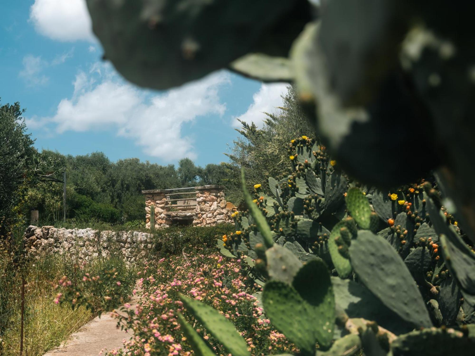 Finca Sa Cova Vella Манакор Экстерьер фото