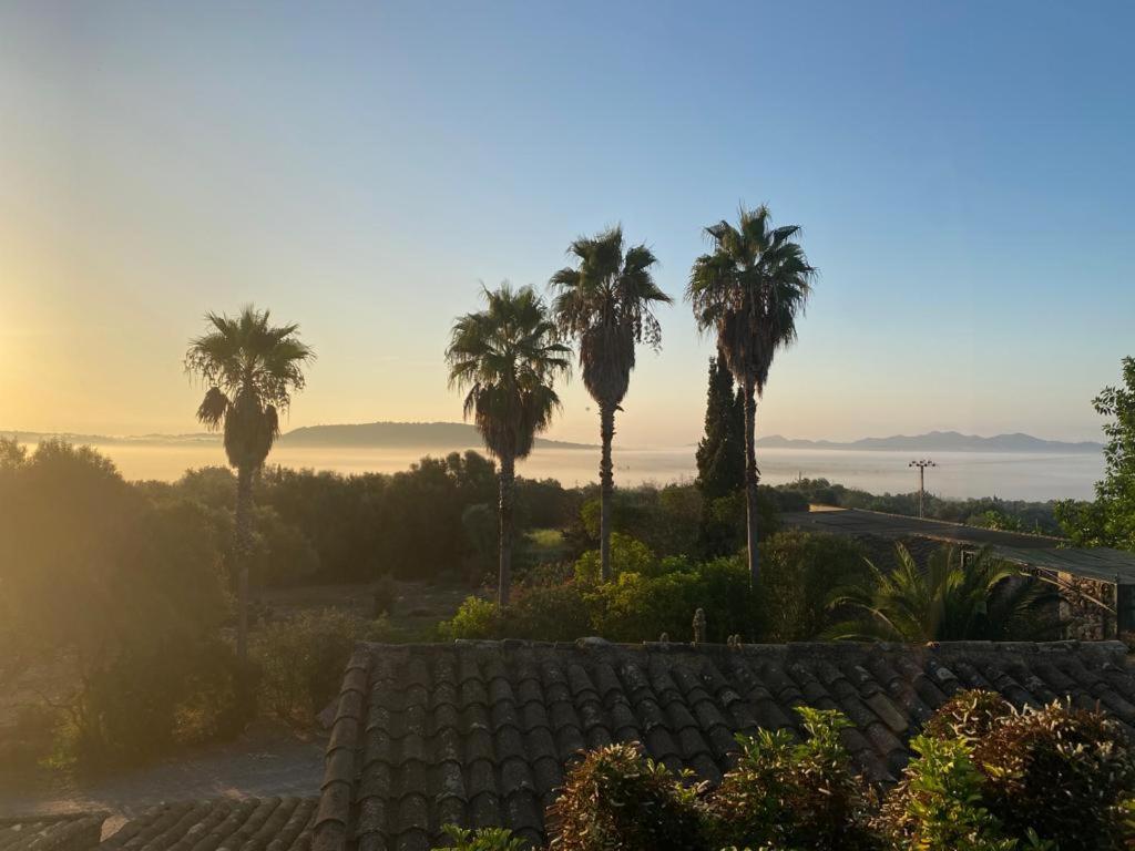 Finca Sa Cova Vella Манакор Экстерьер фото