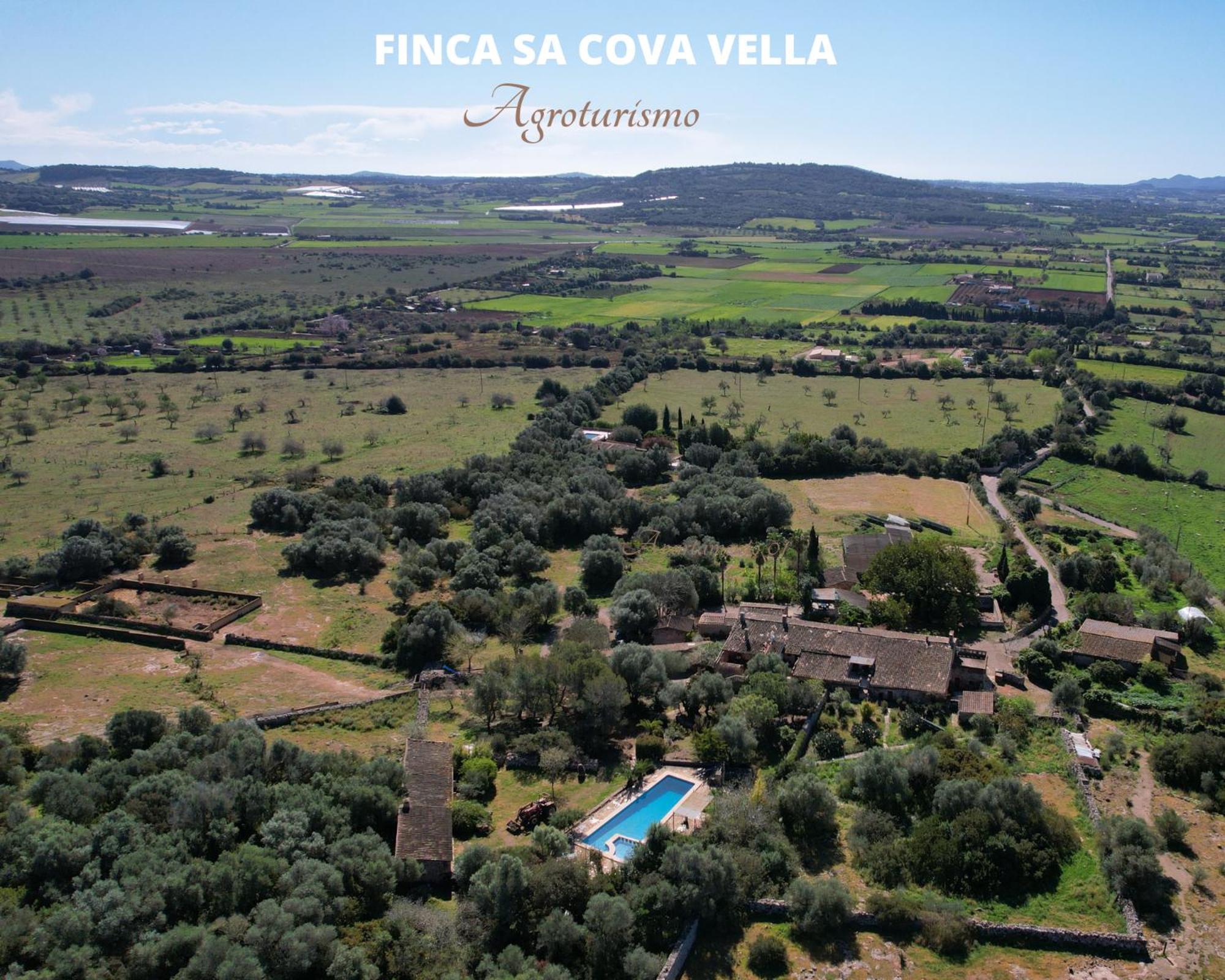Finca Sa Cova Vella Манакор Экстерьер фото