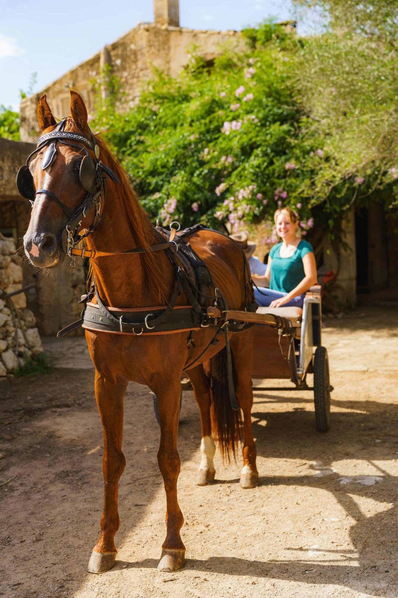 Finca Sa Cova Vella Манакор Экстерьер фото