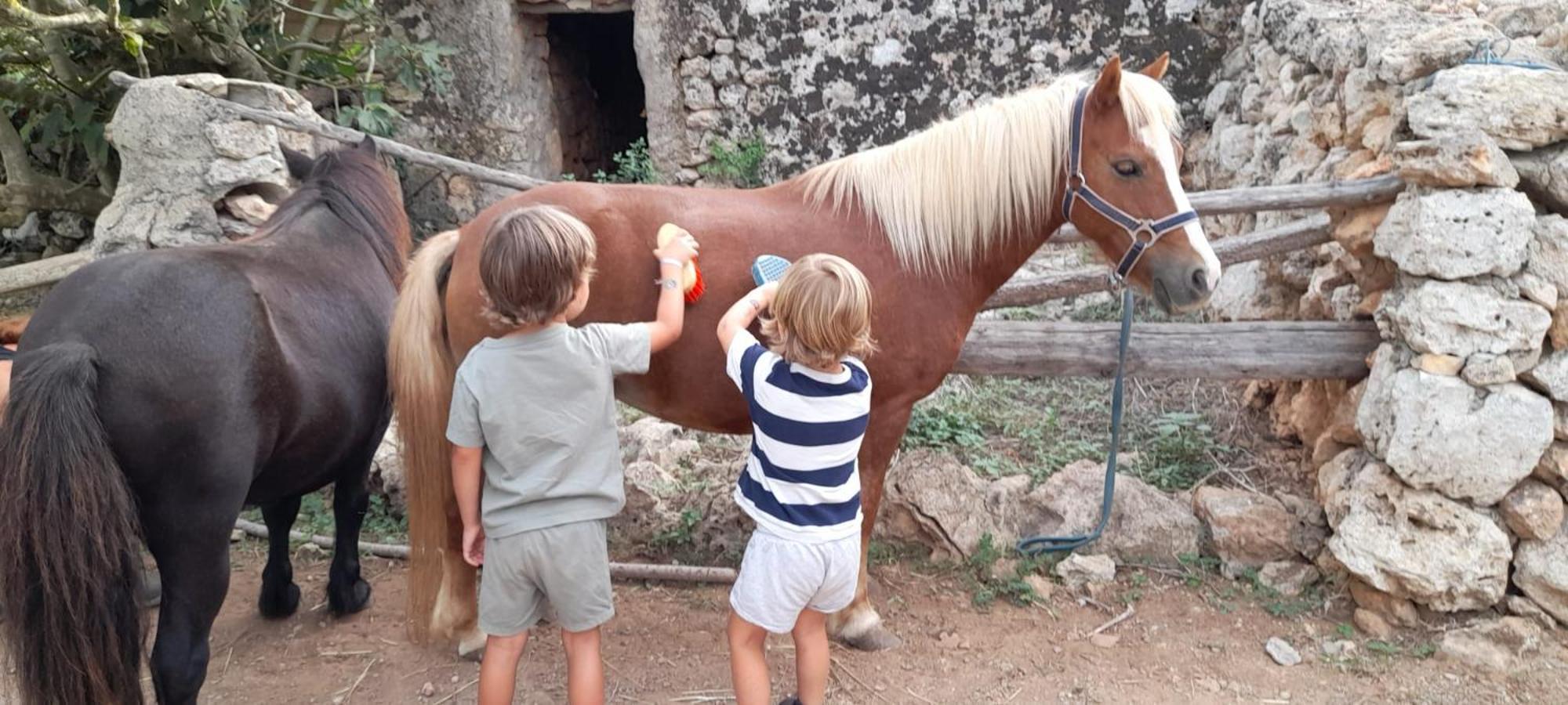 Finca Sa Cova Vella Манакор Экстерьер фото