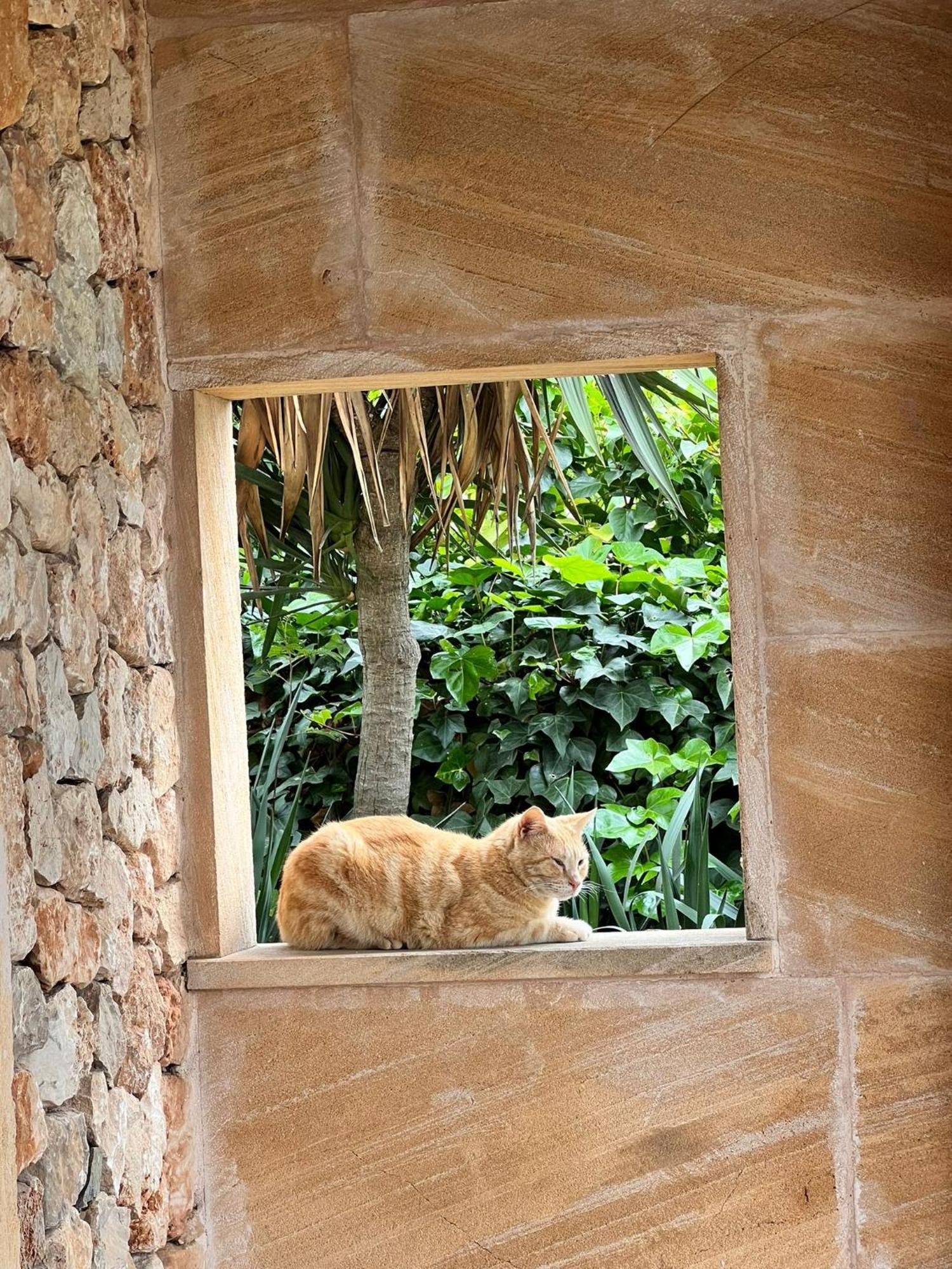 Finca Sa Cova Vella Манакор Экстерьер фото